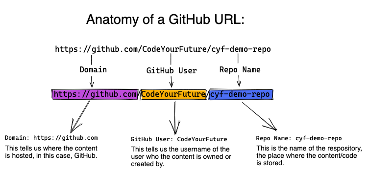 lesson1-github-url-anatomy